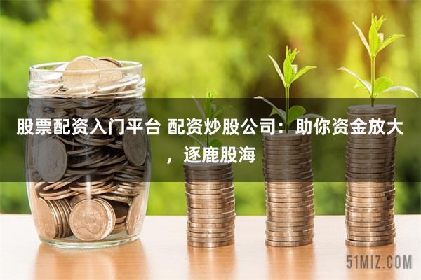 股票配资入门平台 配资炒股公司：助你资金放大，逐鹿股海